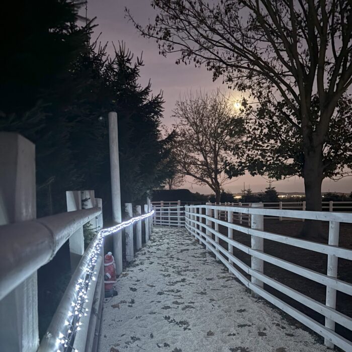 fairy light path